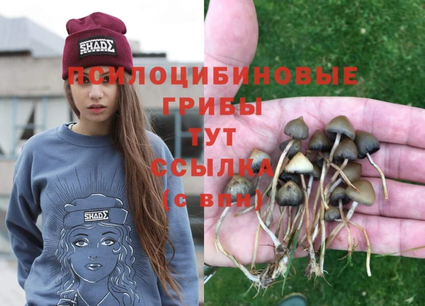 эйфоретик Осташков