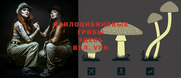 кокс Осинники