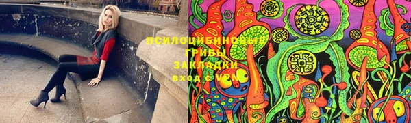гашик Новозыбков
