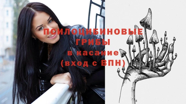 ешки Нягань