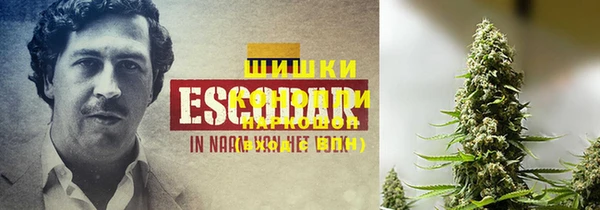 ешки Нягань