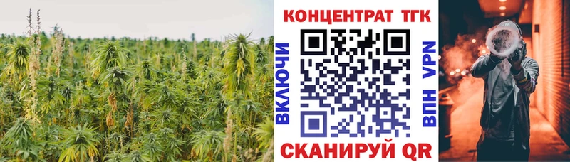 ТГК THC oil  Няндома 