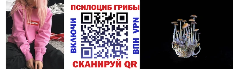 KRAKEN   Няндома  Псилоцибиновые грибы Magic Shrooms 