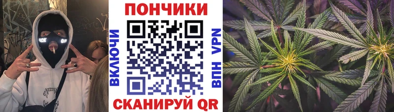 Конопля ГИДРОПОН цена наркотик Няндома
